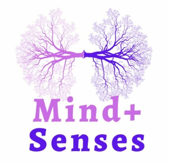 Mind Speech – Webinare und Schulungen